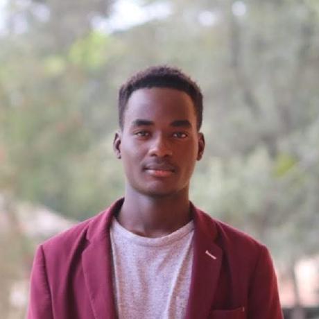 thecodeinfluencer